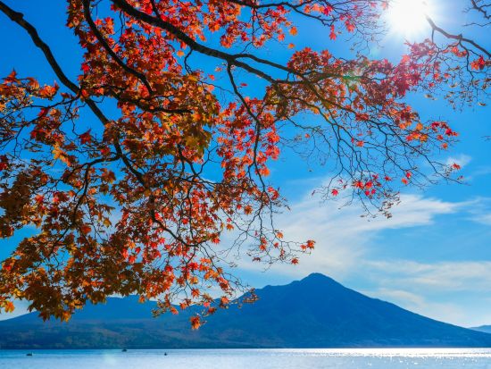 札幌発 登別＆洞爺湖 日帰りバスツアー 地獄谷＋洞爺湖＋昭和新山etc.＜1名から催行／札幌市内発着／日本語・英語・中国語＞