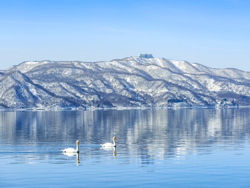 pixta_81683093_M (1)