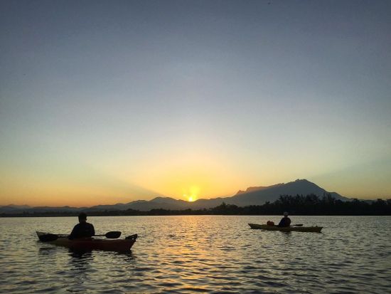 カヤックツアーで熱帯雨林を探索！選べるサンセットまたはサンライズ＜半日／軽食付／英語ガイド／コタキナバル発＞