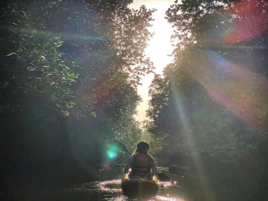 カヤックツアーで熱帯雨林を探索！選べるサンセットまたはサンライズ＜半日／軽食付／英語ガイド／コタキナバル発＞