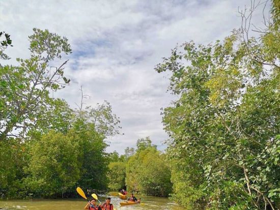 カヤックツアーで熱帯雨林を探索！選べるサンセットまたはサンライズ＜半日／軽食付／英語ガイド／コタキナバル発＞