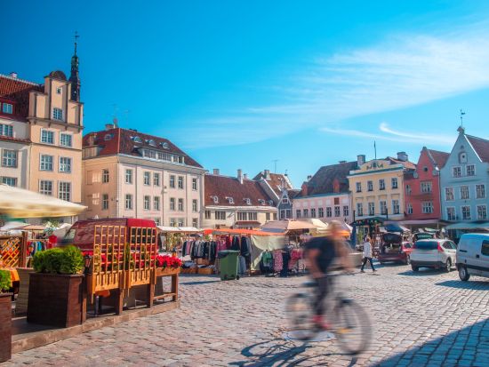 エストニア首都 世界遺産タリン　半日観光ツアー ＜車＋ガイド貸切／タリン発＞
