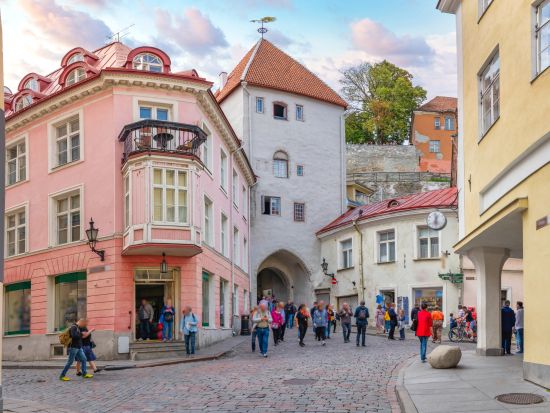 エストニア首都 世界遺産タリン　半日観光ツアー ＜車＋ガイド貸切／タリン発＞