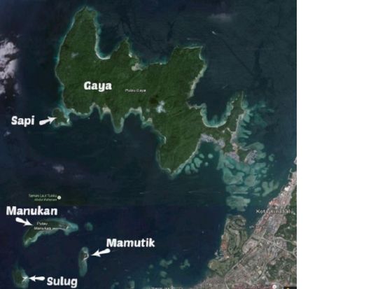 サピ島／マムティック島のいずれかに上陸！シュノーケリングツアー＜1日／英語／昼食付／コタキナバル発＞