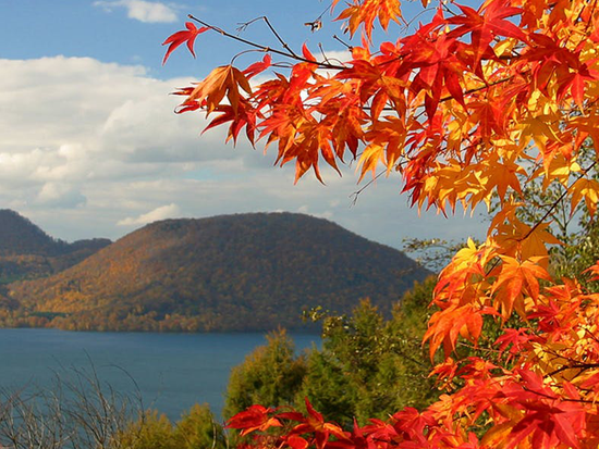 BF087677-3FC0-47C6-ADFE-270A848E177C