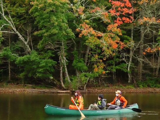 120999927_191935812375515_3974484240403778013_n