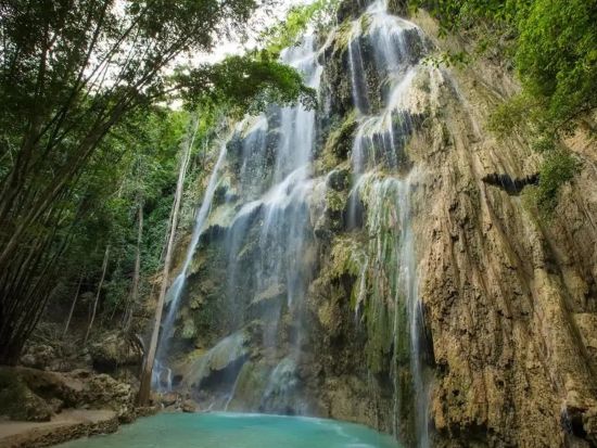 ジンベイザメシュノーケリング+ツマログの滝ツアー　スミロン島シュノーケリング付きプランあり＜日本語ガイド／送迎＞