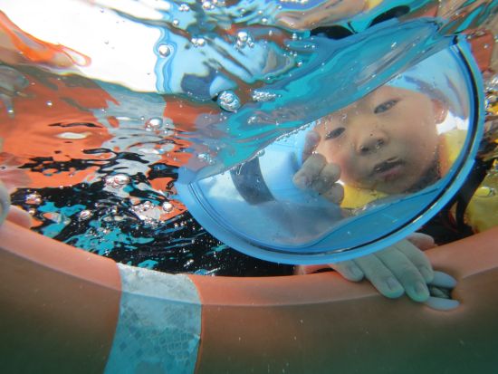 シュノーケリング　その日のベストポイントにボートでご案内　高品質のレンタル器材をご用意＜1日／昼食付き／石垣島市街地送迎可＞