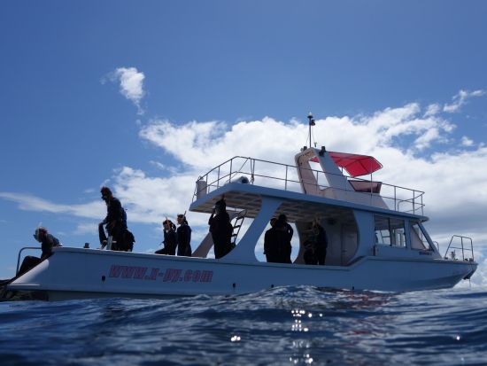 体験スキンダイビング（素潜り）　ライセンスなしで参加OK！その日のベストポイントにボートでご案内＜10歳から参加可／昼食付き／石垣島市街地送迎可＞