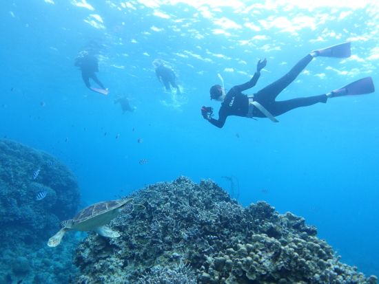 体験スキンダイビング（素潜り）　ライセンスなしで参加OK！その日のベストポイントにボートでご案内＜10歳から参加可／昼食付き／石垣島市街地送迎可＞