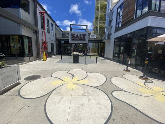 オアフ島フォトジェニックツアー　ピンクピルボックス絶景ハイキング＆ワード・カカアコエリアでのショッピング　レナーズのマラサダ付き