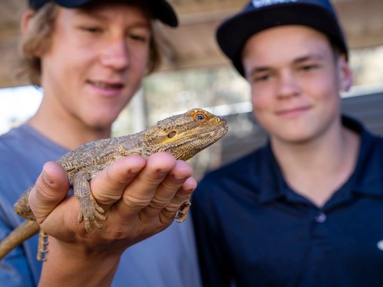 Student holding a bearded dragon_134196-56