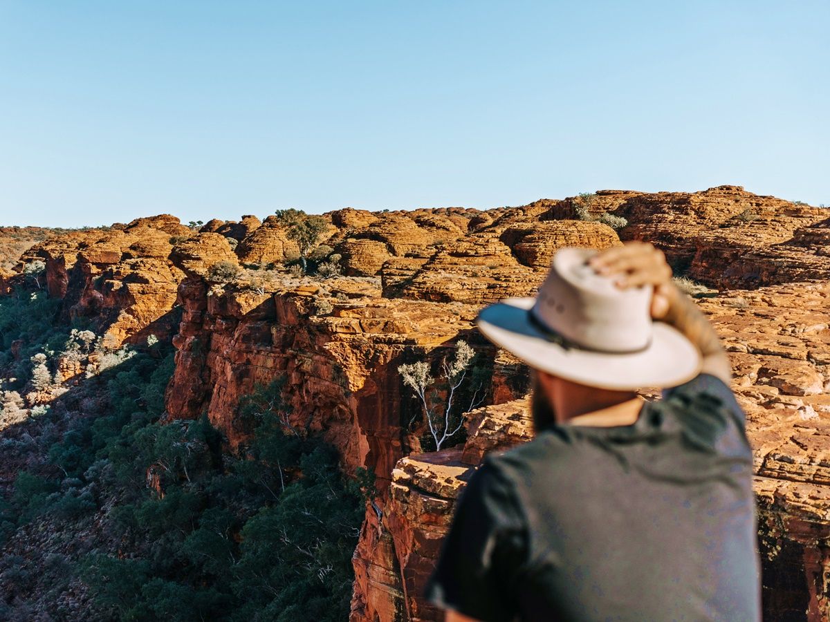 Man looking across Kings Canyon_131364-56