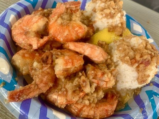 ノースショア（ハレイワ）観光　体験型レッスンで英会話を学びながらオアフ島の有名観光スポットをぐるっと周遊！＜1日／日本語ガイド＞