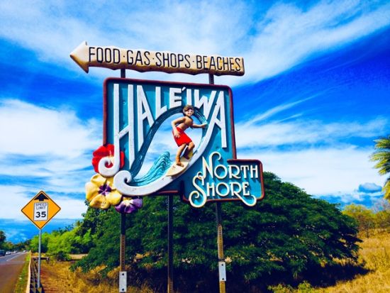 ノースショア（ハレイワ）観光　体験型レッスンで英会話を学びながらオアフ島の有名観光スポットをぐるっと周遊！＜1日／日本語ガイド＞