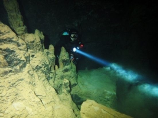 ファンダイビング　上級者の方にオススメ！辺戸岬コースまたはエモンズコース＜ボート／那覇市内ホテル無料送迎＞by オーシャンゲート