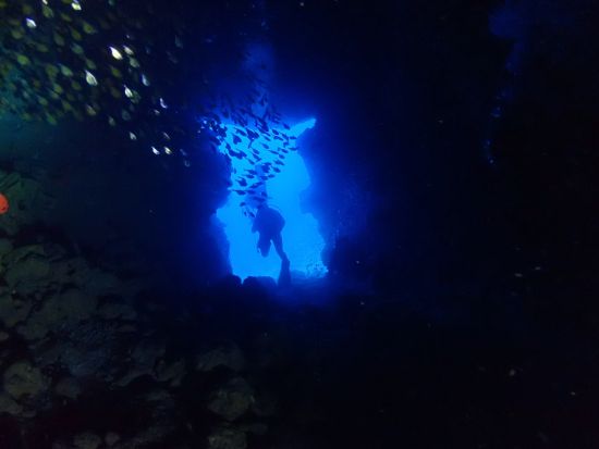 ファンダイビング　中級者の方にオススメ！異なる魅力を持つ3コースをご用意（残波／万座／水納島・瀬底島）＜ボート／那覇市内ホテル無料送迎＞by オーシャンゲート