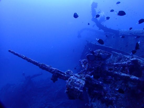 ファンダイビング　上級者の方にオススメ！辺戸岬コースまたはエモンズコース＜ボート／那覇市内ホテル無料送迎＞by オーシャンゲート