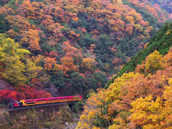 Japan_Kyoto_Arashiyama_Autumn_pixta_68652786