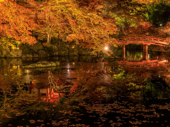Japan_Kyoto_Daigoji Temple_pixta_60057236