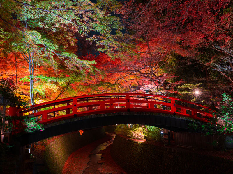 Japan_Kyoto_Kitano Tenmangu Shrine_pixta_71262424