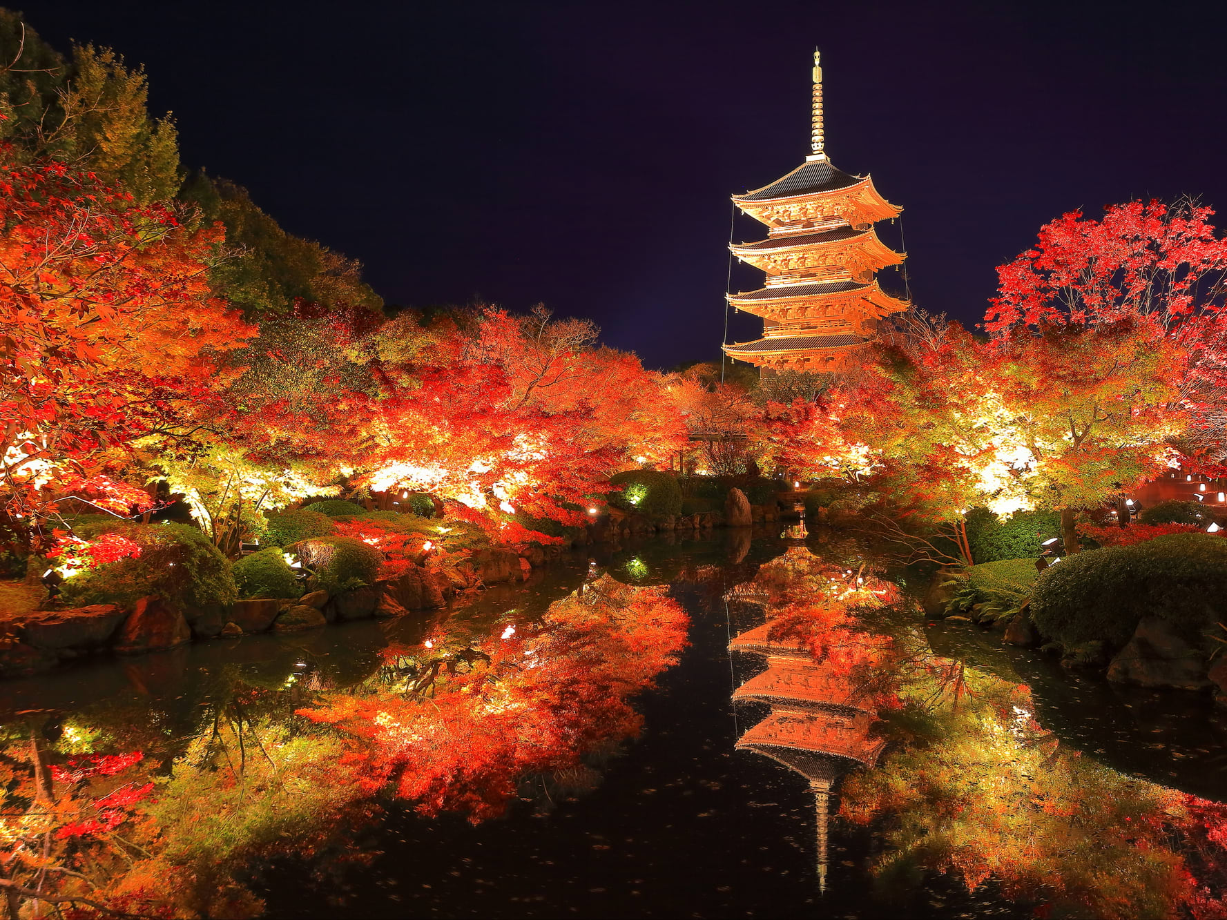 東寺夜間特別拝観券(二枚) ライトアップ - 美術館・博物館