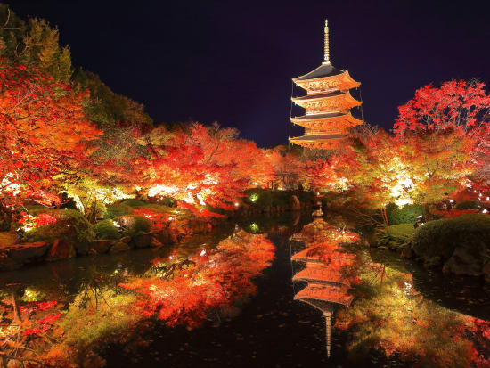 Japan_Kyoto_Toji Temple_pixta_36147769