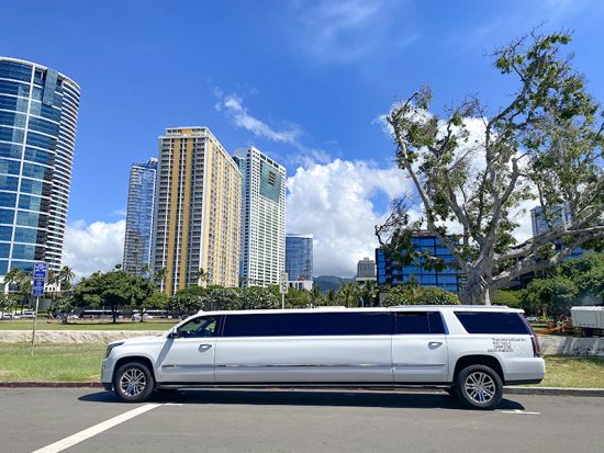 【空港送迎】ダニエル・K・イノウエ国際空港 ⇔ ホテル リムジン貸切送迎サービス 2つの車種から選べる！＜ワイキキ地区＞