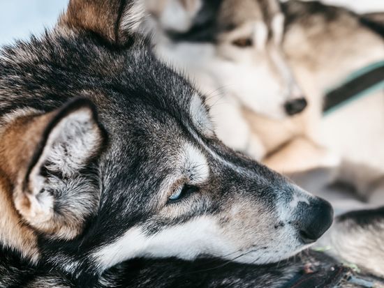 afb15c17-a631-4ee4-b973-7de8c3a4e20e