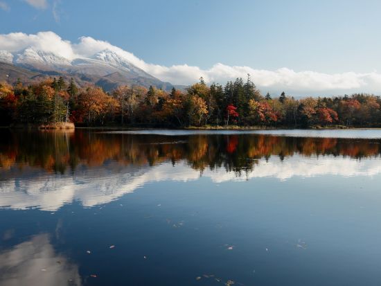 知床五湖一周ウォーキングツアー　知床五湖をネイチャーガイドがご案内【前日18時までリクエスト可能】＜4～11月／半日／斜里町ウトロ地区送迎可＞byピッキオ