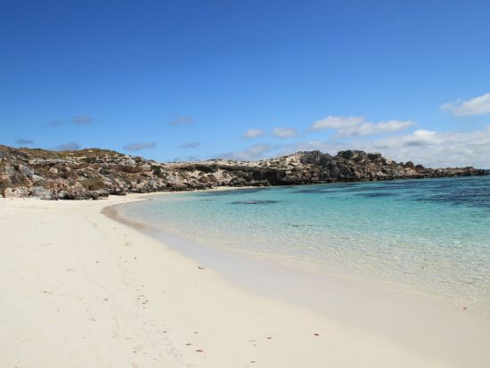 ロットネスト島 往復フェリーチケット「世界一幸せな動物」クオッカに出逢える＜パース市内送迎あり／ヒラリーズ発着＞