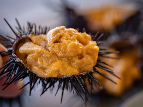 北三陸貸切観光タクシー じぇじぇじぇ！『あまちゃん』のロケ地観光 　三陸鉄道に乗りたい方にオススメの久慈駅解散プラン♪＜5時間／八戸発／久慈駅着＞