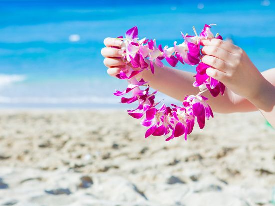 レイ・グリーティングサービス　新鮮な草花を使った種類豊富なレイから選べる！グループやハネムーンプランあり＜ダニエル・K・イノウエ国際空港＞