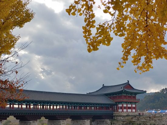 釜山発！慶州観光ツアー2大世界遺産巡り 仏国寺や話題の皇理団通りを巡る＜1日／日本語ガイド選択可／貸切／送迎付＞