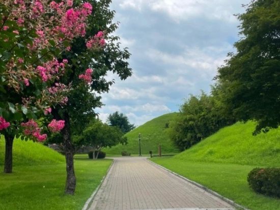 釜山発！慶州観光ツアー2大世界遺産巡り 仏国寺や話題の皇理団通りを巡る＜1日／日本語ガイド選択可／貸切／送迎付＞