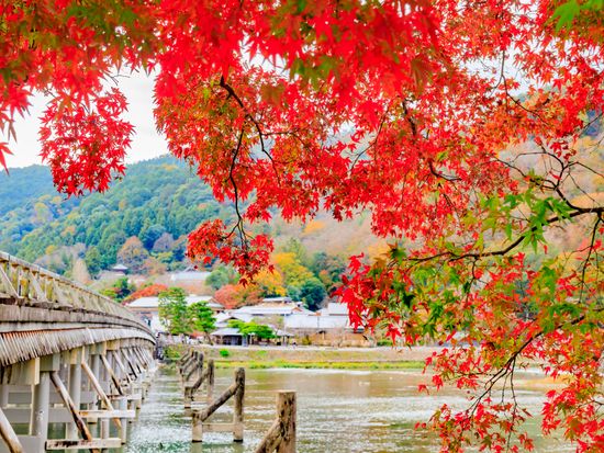 Japan_Kyoto_Arashiyama_Autumn_pixta_71968158_M
