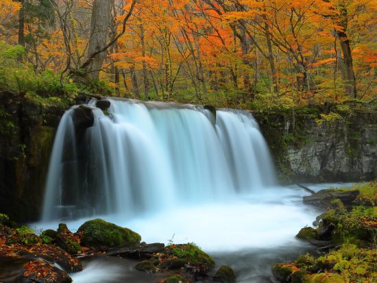奥入瀬渓流ウォーキングツアー　十和田八幡平国立公園内石ヶ戸～雲井の滝～銚子大滝～子ノ口 散策＜十和田市＞by4-Ride