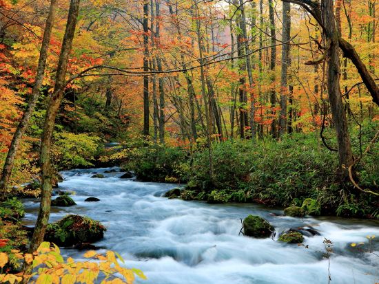 奥入瀬渓流ウォーキングツアー　十和田八幡平国立公園内石ヶ戸～雲井の滝～銚子大滝～子ノ口 散策＜十和田市＞by4-Ride