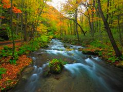 pixta_6691350_M