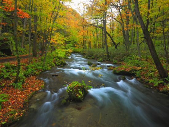 貸切観光タクシー  青森県人気観光地の奥入瀬渓流と十和田湖を巡る6時間コース＜1～9名／八戸駅、八戸市内発／星野リゾート青森屋お送り＞by ポストタクシー