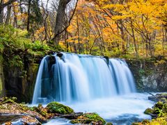 pixta_93465627_M