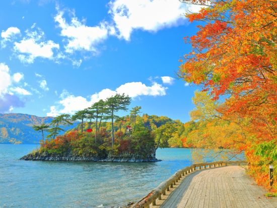 貸切観光タクシー  青森県人気観光地の奥入瀬渓流と十和田湖を巡る6時間コース＜1～9名／八戸駅、八戸市内発／星野リゾート青森屋お送り＞by ポストタクシー