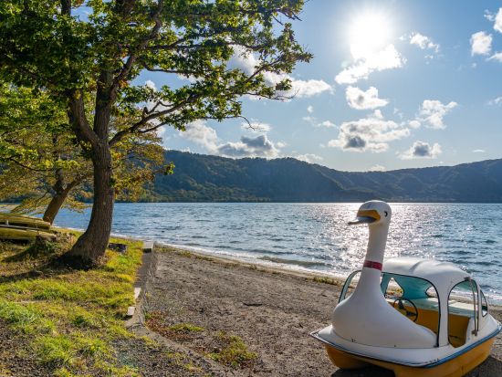 貸切観光タクシー  青森県人気観光地の奥入瀬渓流と十和田湖を巡る6時間コース＜1～9名／八戸駅、八戸市内発／星野リゾート青森屋お送り＞by ポストタクシー