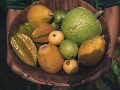 Aloha_AinaSeasonalProduce