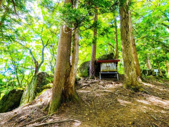 貸切観光タクシー 青森ミステリーツアー 神秘の歴史に触れよう＜1～9名／3時間／八戸発着＞by ポストタクシー