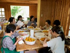 梅しごと作業イメージ