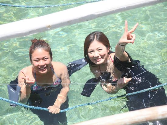 【ライセンス取得コース】 PADIフリーダイバーコースまたはアドバンスドフリーダイバーコース＜2日間／日本語スタッフ＞by オールブルー