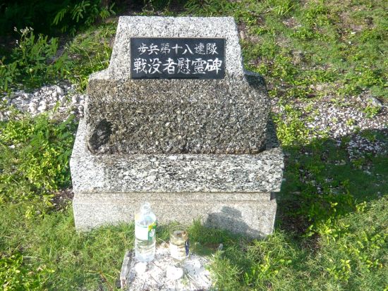 【貸切ツアー】マリアナ政府公認ガイドとサイパンの歴史・戦跡めぐる慰霊の旅　オーダーメイドコース＜日本語ガイド／2時間／送迎付き＞