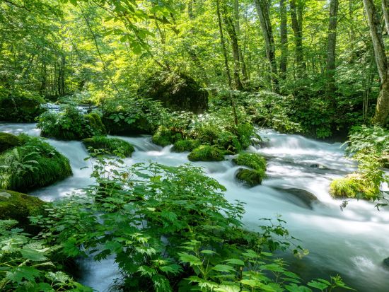 貸切観光タクシー 十和田湖と十和田市現代美術館めぐり＜青森屋発八戸駅着／7時間＞ by ポストタクシー