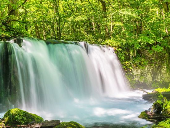 貸切観光タクシー 十和田湖と十和田市現代美術館めぐり＜青森屋発八戸駅着／7時間＞ by ポストタクシー